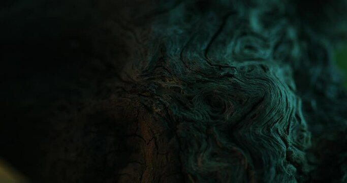 Wooden Swirls and Textures at Sunrise. Close-Up Tracking Shot.