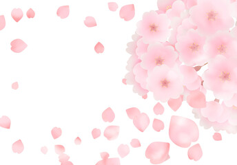 Obraz premium pink cherry blossom