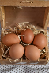 chicken egg in the nest source of protein healthy food