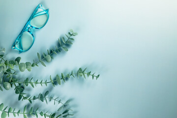 A pair of blue reading glasses and a green plant on a solid blue background with empty copy space