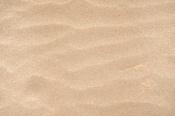 Sands texture summer background.