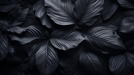 Abstract black tropical leaf textures for dark nature concept background with copy space