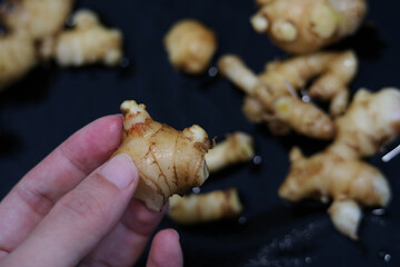 The ginger spice comes from the roots of the plant. It's used as a food flavoring and medicine