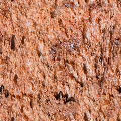 Seamless photo texture of  sweet chocolate bread pastry.