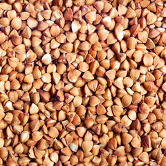 Seamless photo material texture of buckwheat grains.