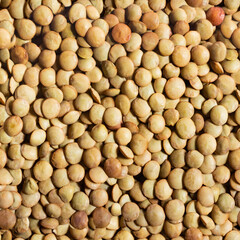 Seamless material photo texture of dried peas grain.
