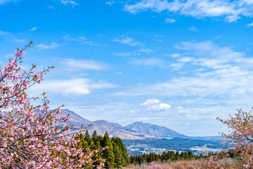 うららかな春空に映える阿蘇山と桜風景
Mt. Aso and cherry blossoms shine against...
