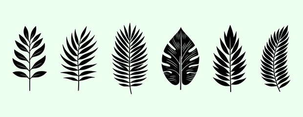 Collection of simple tropical leaves – Exotic plants leaves set - obrazy, fototapety, plakaty