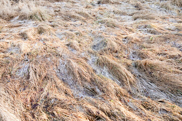 Muddy road, frozen mud, frost on the grass and sheets of ice in puddles. Pre-winter in Poland.