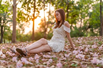 Naklejka na ściany i meble Young Asian beauty enjoys playing and posing with sakura flowers at a public park during sunset moments