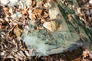 broken glass, window panes smashed in the woods, litter in the environment, non-removable pollution