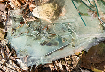 broken glass, window panes smashed in the woods, litter in the environment, non-removable pollution