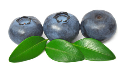 Blueberry macro with leaves isolated on white background