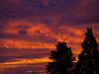 Amazing colorful sunrise over residential area of Saanich Peninsula, Vancouver Island, BC, Canada