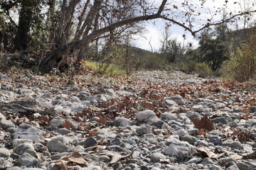 Naklejka na ściany i meble Winter dry rocky river bed in California.