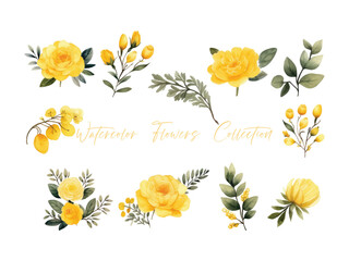 set water color flowers, color yellow very detailed, which is suitable for white background wedding templates