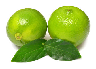 Two lime fruit whole with leaves isolated on white background
