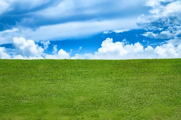 Photo sur Plexiglas Prairie, marais Grassy meadow, field, lawn, grassland. Green meadow background. Landscape background. Green grass field and blue sky. Wide green field. Green grass field for background.