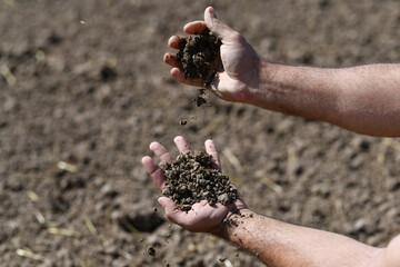 Farmer holding a fertile soil in hands. Agriculture, agribusiness. Gardener holds fertilized soil....