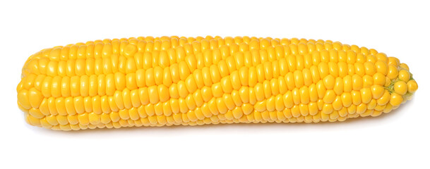 One corn macro isolated on white background