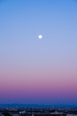 ビーナスベルトに浮かぶ有明の月（縦構図）