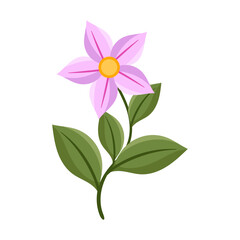 Vector hand drawn flower illustration on white