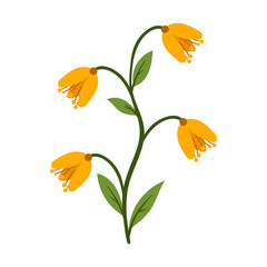 Vector hand drawn flower illustration on white