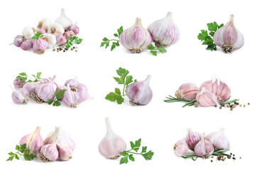 Fresh garlic, peppercorns, parsley and rosemary isolated on white, set