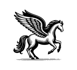 Obraz na płótnie Canvas Pegasus hand drawn vector illustration winged horse