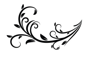 Fototapeta premium Floral element design vector illustration.