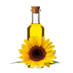 bottle of oil