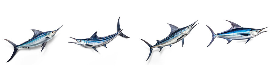 Set of Swordfish  on transparency background PNG