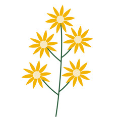 Yellow flower isolated on white background. Hand drawn flat png illustration of floral branch. Sticker design element 