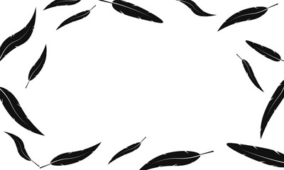 Silhouette frame feather falling border background illustration vector