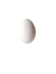 Egg on white background transparent PNG.
