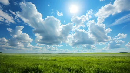 Deurstickers Illustration background, Beautiful grassy fields and summer blue sky with fluffy white clouds in the wind © MyBackground