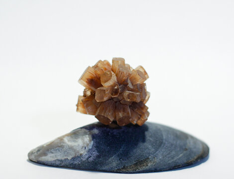 Natural Rough Orange Aragonite Metaphysical Healing Crystal Gemstone Mineral Starburst Cluster Formation Sitting on top of Blue Mussel Shell on White Background Orange and Blue Contrast Color