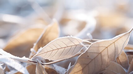 An The surface of dry leaves is covered with snow and ice on a winter day, nature background.