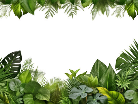 Tropical Leaves Header and Footer Border Isolated on Transparent Background

