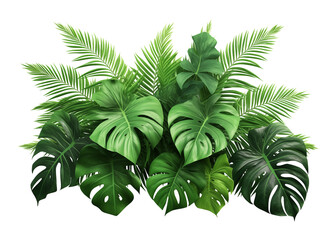 Tropical Leaves Foliage Arrangement Isolated on Transparent Background
