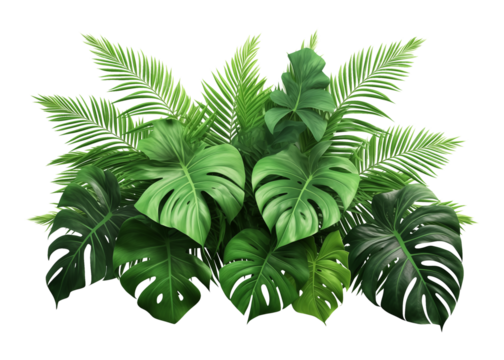 Tropical Leaves Foliage Arrangement Isolated on Transparent Background
