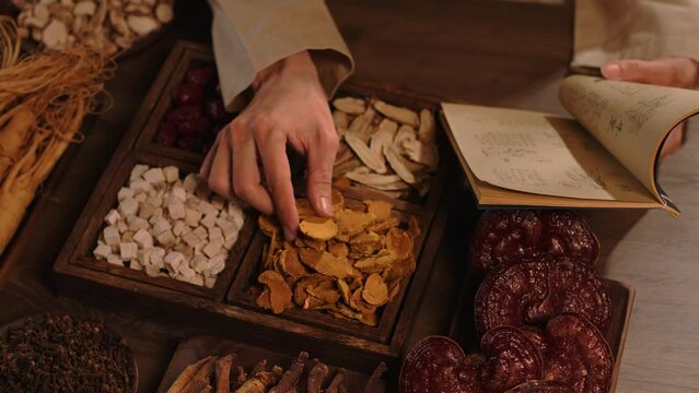 Oriental medicine concept. Ganoderma mushrooms, ginseng, jujube, licorice and other dried medicinal herbs are stored in wooden trays. The physician is studying information from ancient books.