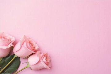 Obraz na płótnie Canvas Minimal pink roses and pink background copy space concept