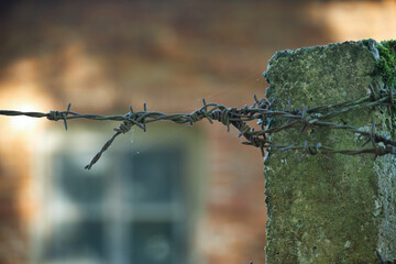 Silhouette of rusty barbed wire on blurred background