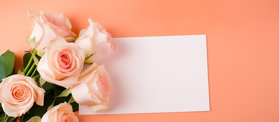 Elegant Pale Pink Roses with Blank White Card on Peach Background. Greeting Concept
