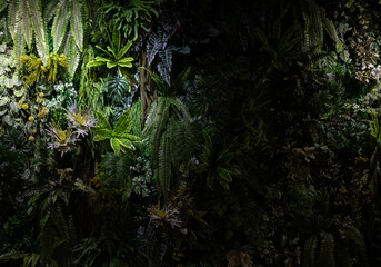 A dense cover of various green leaves is suitable for use as a background.