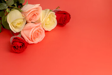 Bouquet of white, pink and red roses on a red background
