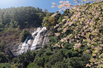 Siriphum waterfall with flowers blooming famous place in Chiang Mai, Thailand.