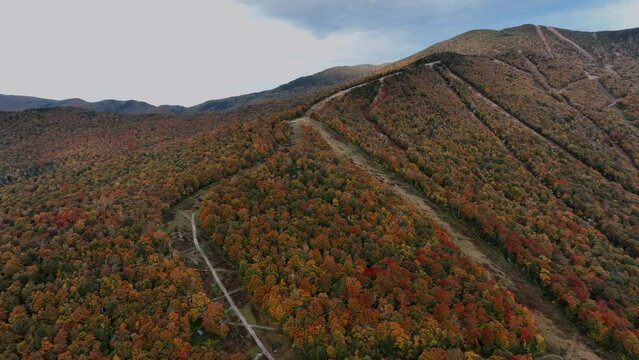 Fall Foliage Over Mountain Forest Near Killington Ski Resorts In Vermont, USA. Aerial Drone Shot