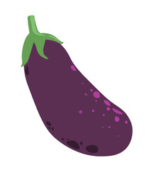 Ripe natural eggplant with stalk, tasty vegetables